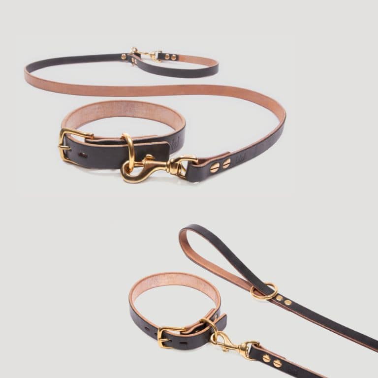 Collection0001 Leather For Companions